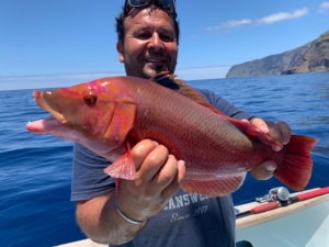 Duck Fish