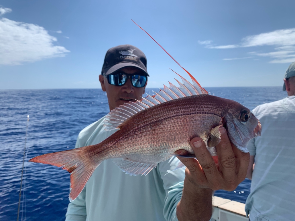 Red Snapper