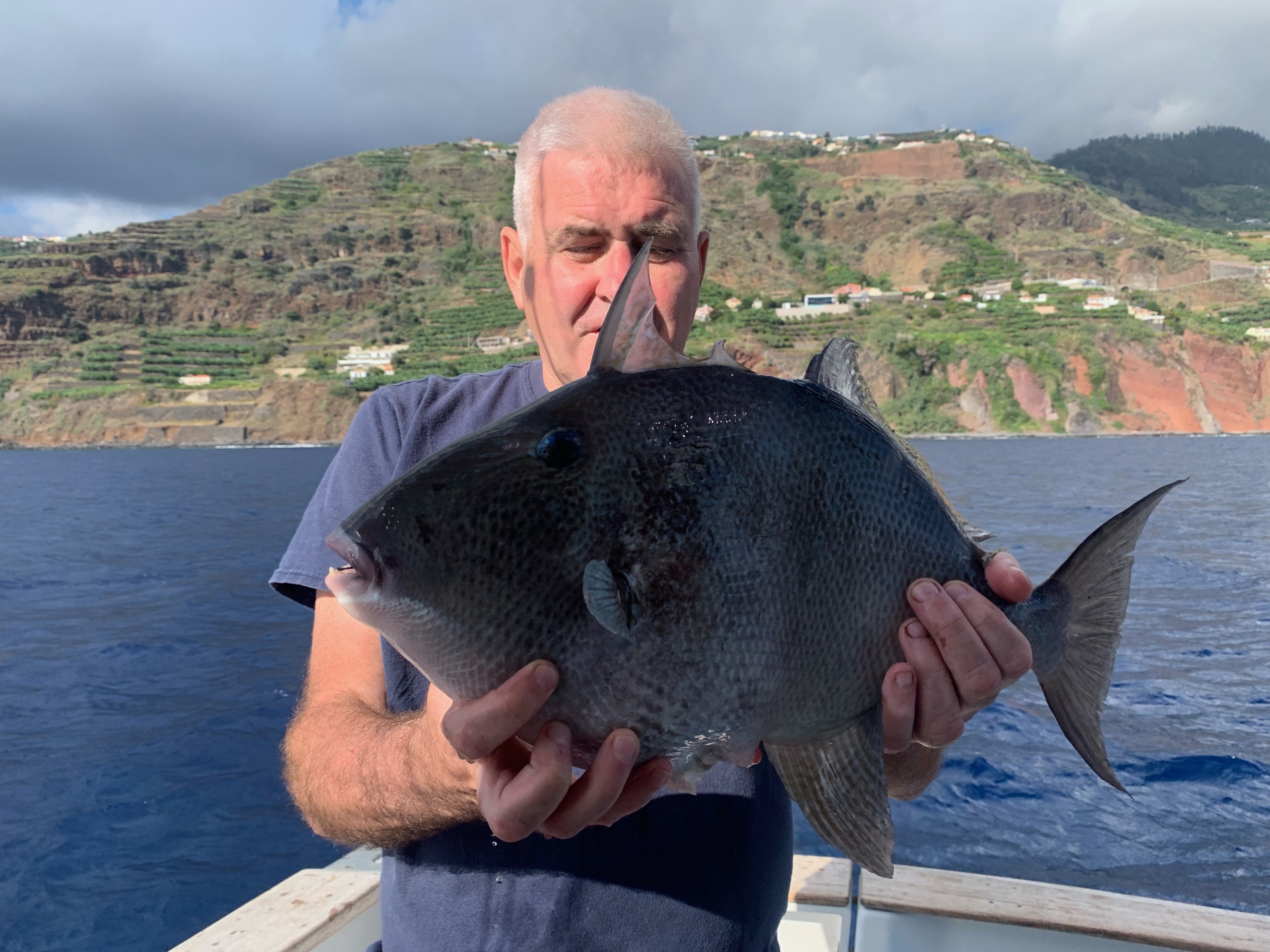Mixed Fishing Trip Trigger Fish