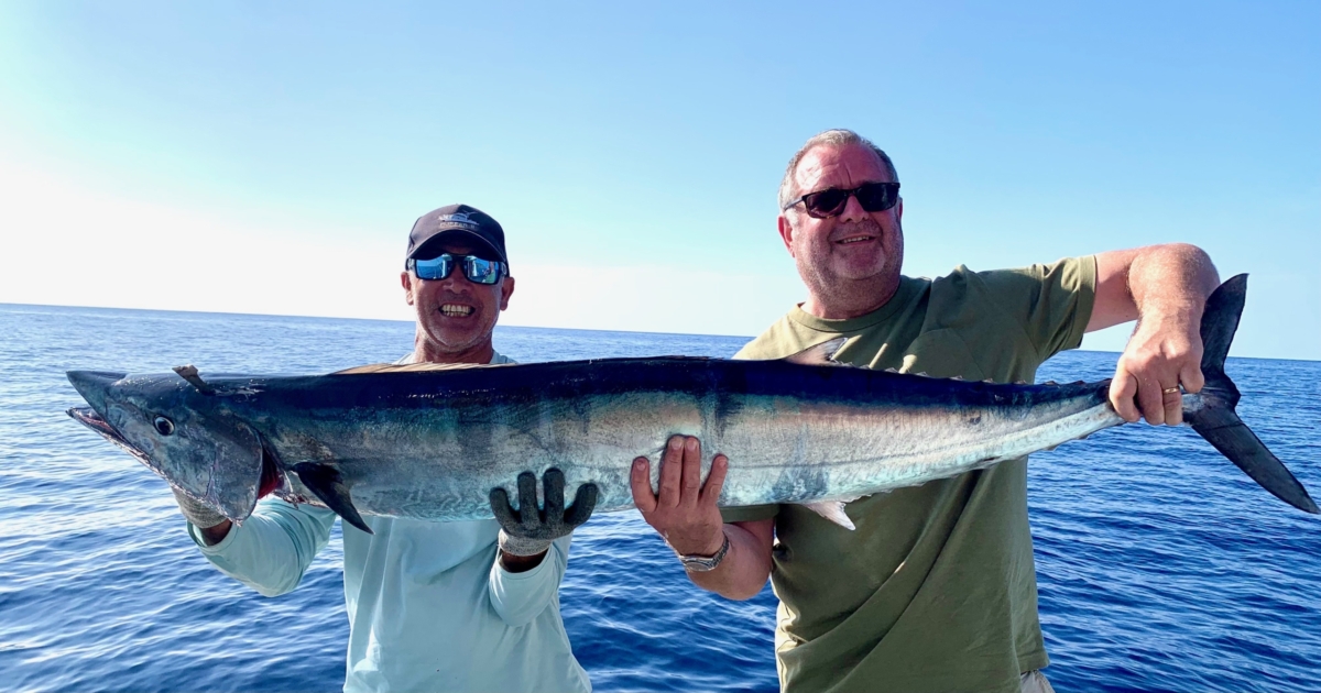 Wahoo Fishing Flipper II Madeira Big Game Fishing