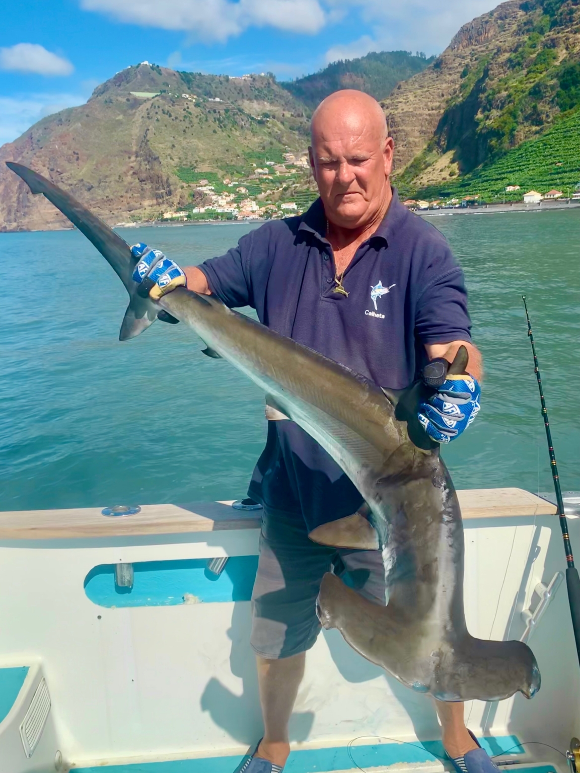 50lb Hammerhead Flipper II Madeira Big Game Fishing.