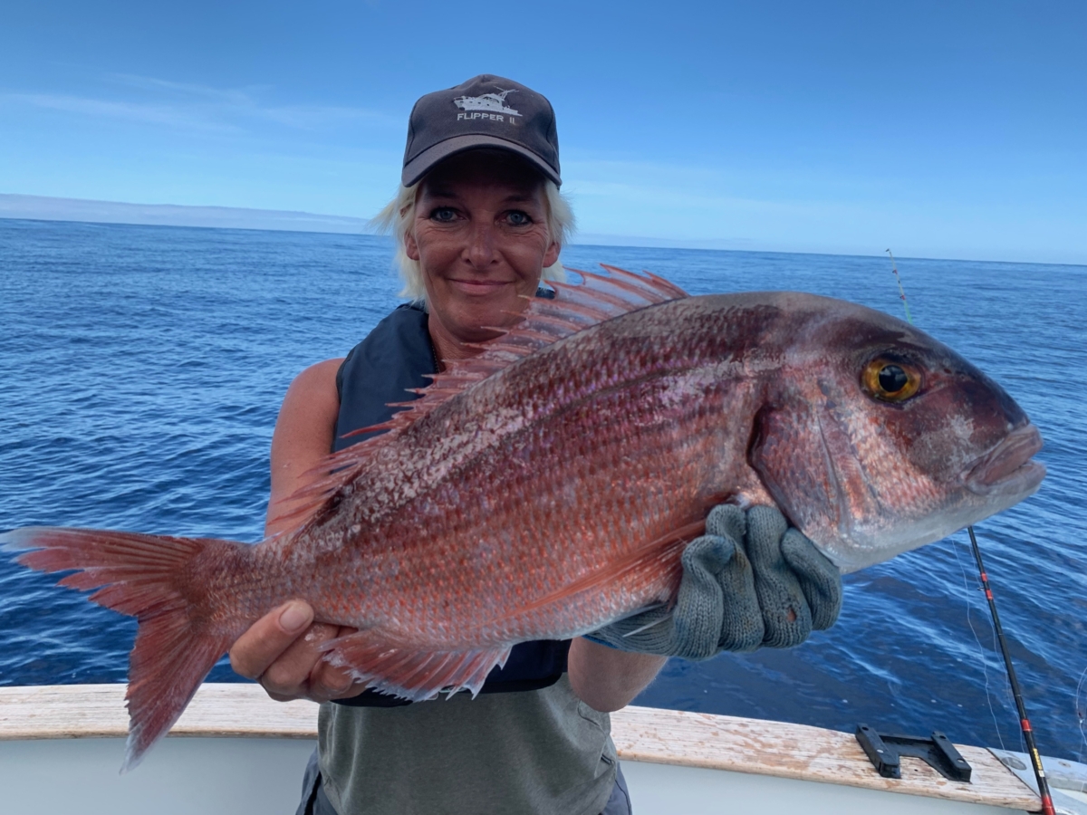 Pargo Flipper II Madeira Big Game Fishing